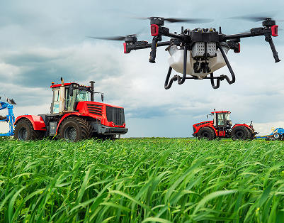 Agriculture