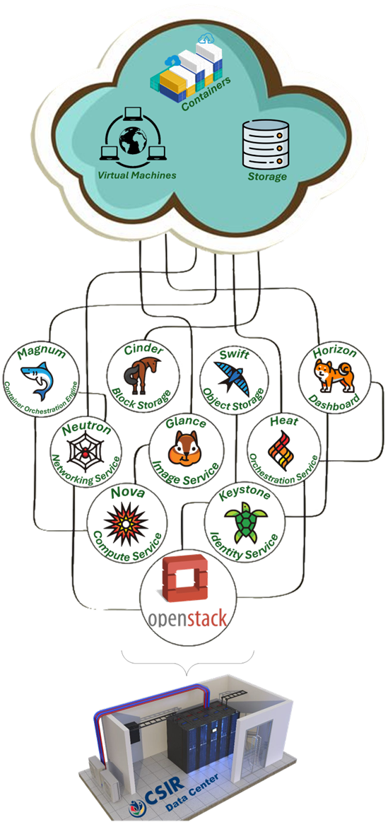 CNAS graphic