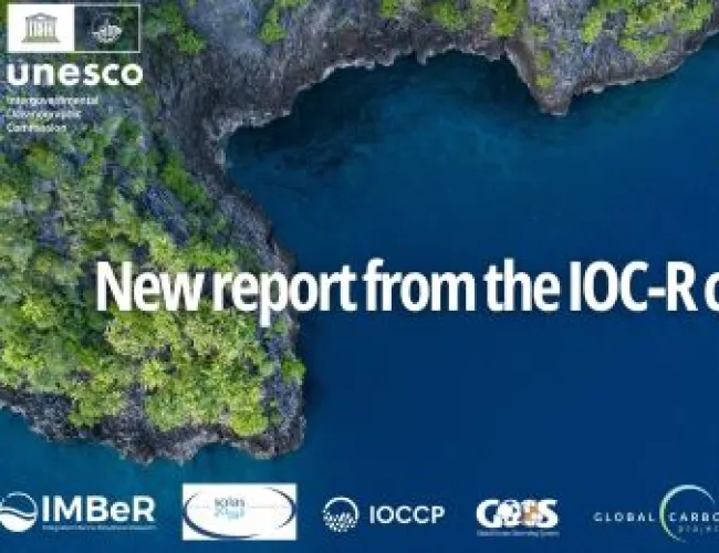 UNESCO report