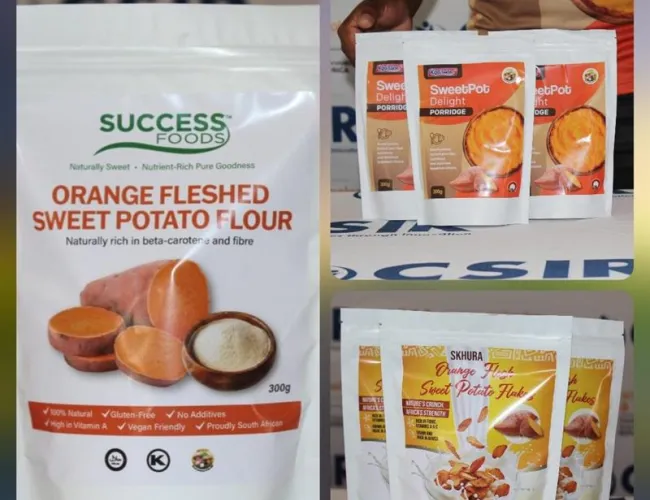 orange sweet potato products