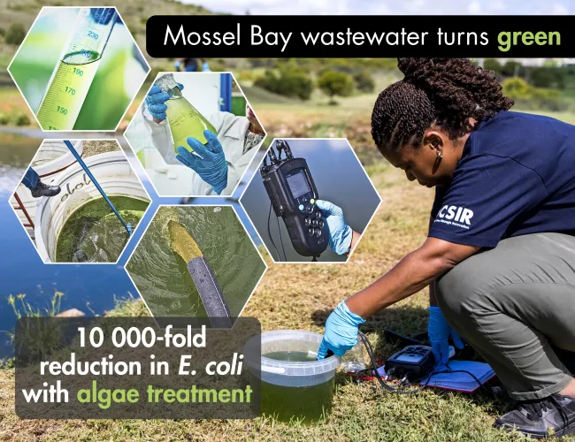 mossel bay wastewater