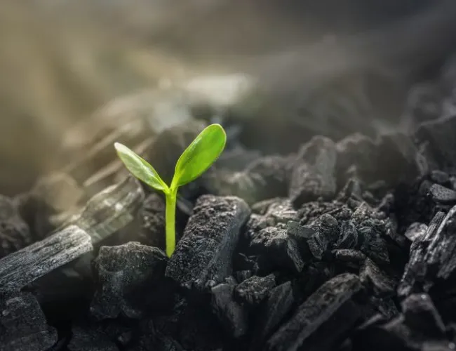Coaltech