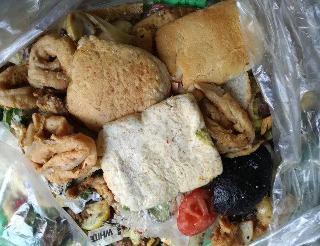 Stop food waste day