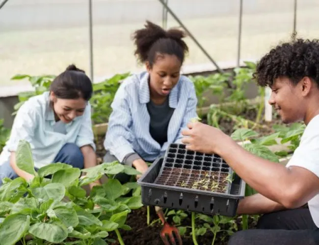 Youth and the circular economy