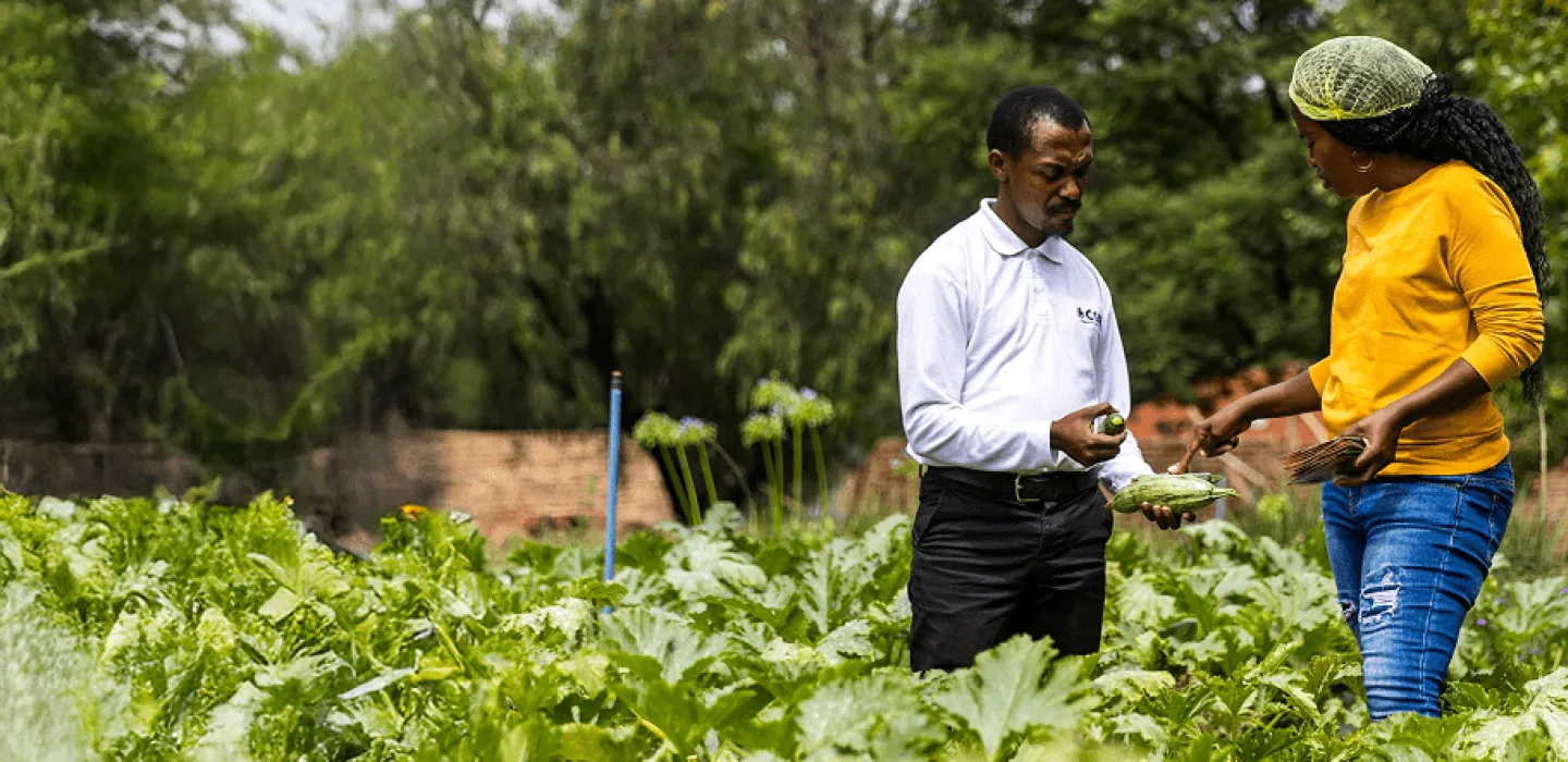 agroprocessing